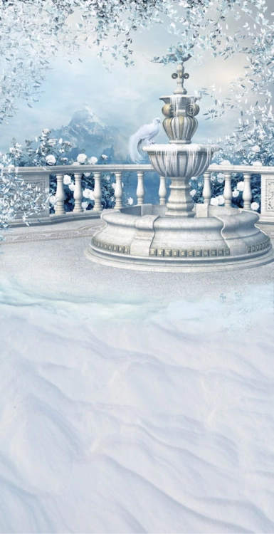 Z162   Świąteczne tło fotograficzne   www.bingoland.pl.jpg