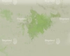 tlo-fofotgraficzne-dzungla-zwierzeta-roczek-balony-podloga-CL1396.webp