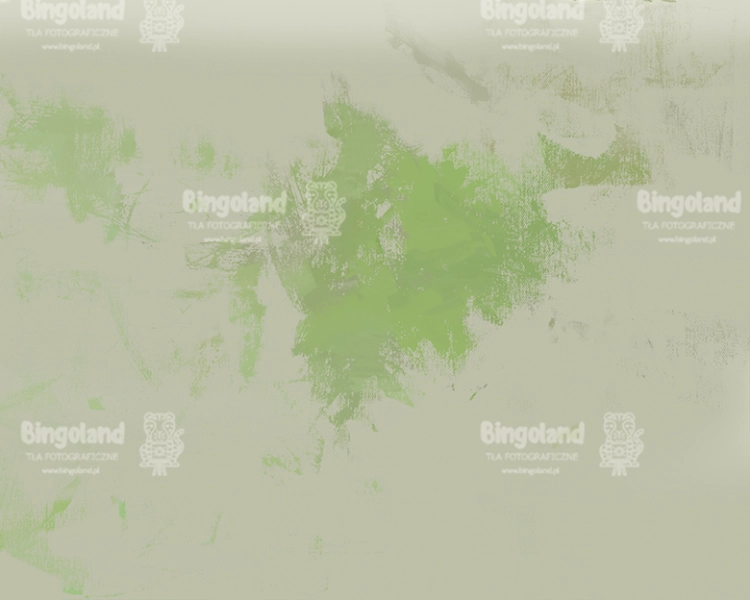 tlo-fofotgraficzne-dzungla-zwierzeta-roczek-balony-podloga-CL1396.webp