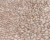 tlo-fotograficzne-domek-lato-owoce-arbuz-podloga-CL1461.webp