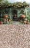 tlo-fotograficzne-domek-lato-owoce-arbuz-CL1461.webp