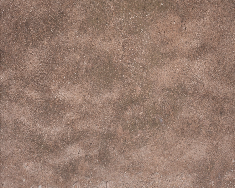 tlo-fotograficzne-cytryny-lato-podloga-CL1468.webp