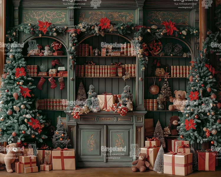 tlo-swiateczne-biblioteka-scianka-Z572.webp