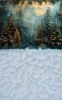 tlo-fotograficzne-swiateczne-boze-narodzenie-Z583.webp