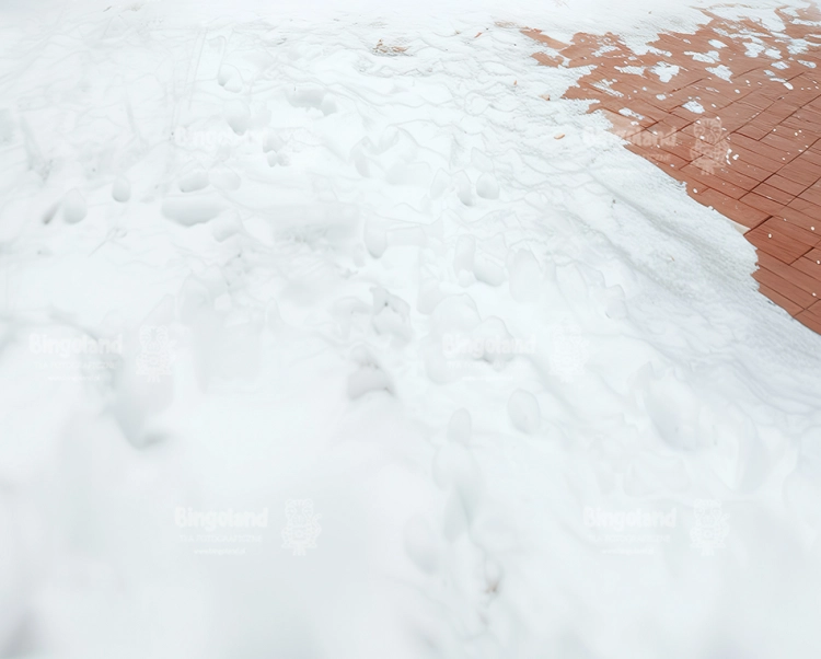 tlo-swiateczne-brama-podloga-Z592.webp