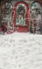 tlo-boze-narodzenie-drzwi-Z603.webp
