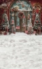 tlo-fotograficzne-zima-choinki-Z604.webp
