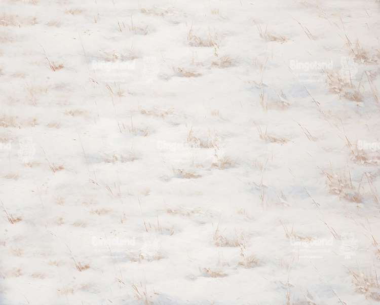 tlo-swiateczne-domek-podloga-Z607.webp