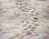 tlo-swiateczne-kazuzela-podloga-Z615.webp