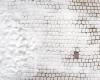 tlo-podloga-Z621.webp