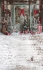 tlo-boze-narodzenie-drzwi-Z621.webp