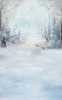 tlo-fotograficzne-las-zima-choinki-249x400-Z624.webp