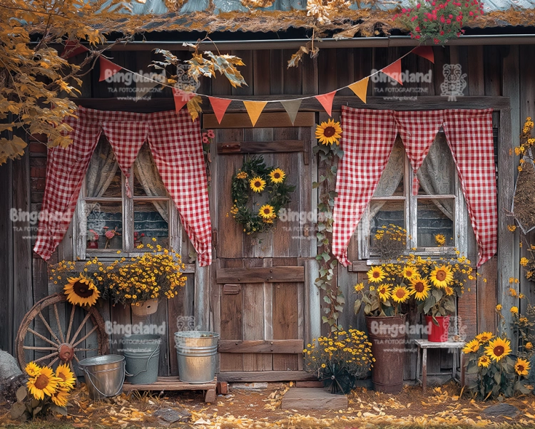 tlo-fotograficzne-jesien-domek-CL1482.webp
