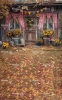 tlo-fotograficzne-jesien-CL1482.webp