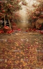 tlo-fotograficzne-jesien-sad-jablka-CL1483.webp