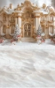 tlo-swiateczne-palac-boze-narodzenie-249x400-Z628.webp