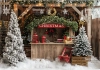 tlo-fotograficzne-swiateczne-boze-narodzenie-300x210-Z633.webp