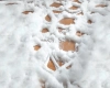 tlo-ssnieg-249x400-Z642.webp