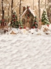 tlo-sineg-podloga-300x400-Z645.webp
