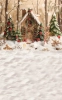 tlo-swiateczne-domek-249x400-Z645.webp