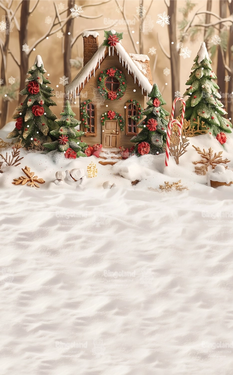 tlo-swiateczne-domek-249x400-Z645.webp