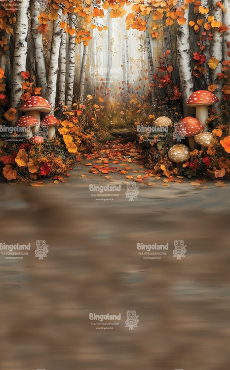 tlo-fotograficzne-las-grzyby-jesien-249x400-CL1507.webp
