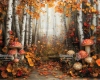 tlo-fotograficzne-las-grzyby-jesien-249x200-CL1507.webp