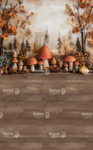 tlo-fotograficzne-las-jesien-grzyby-250x200-CL1511.webp