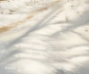 tlo-snieg-podloga-Z661.webp