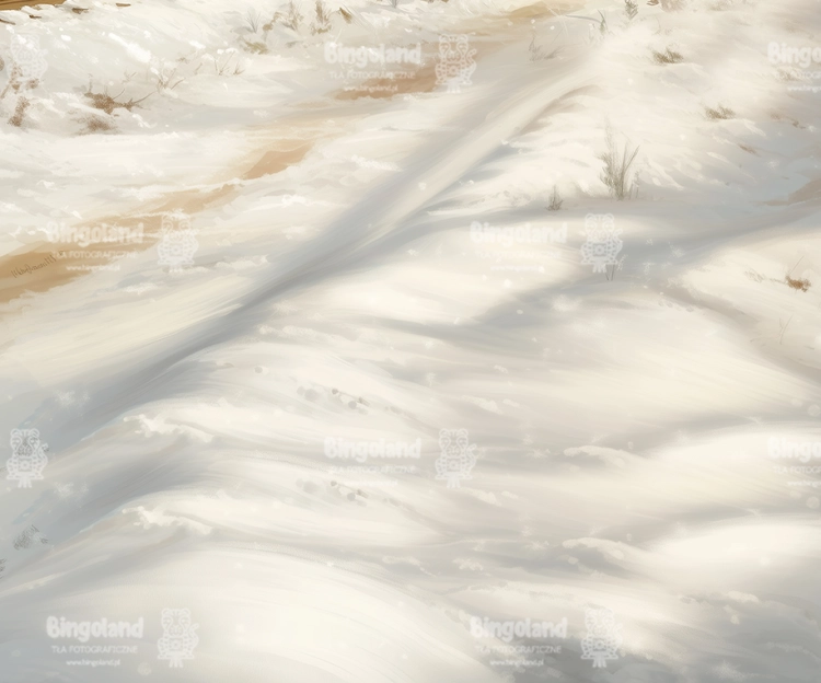 tlo-snieg-podloga-Z661.webp