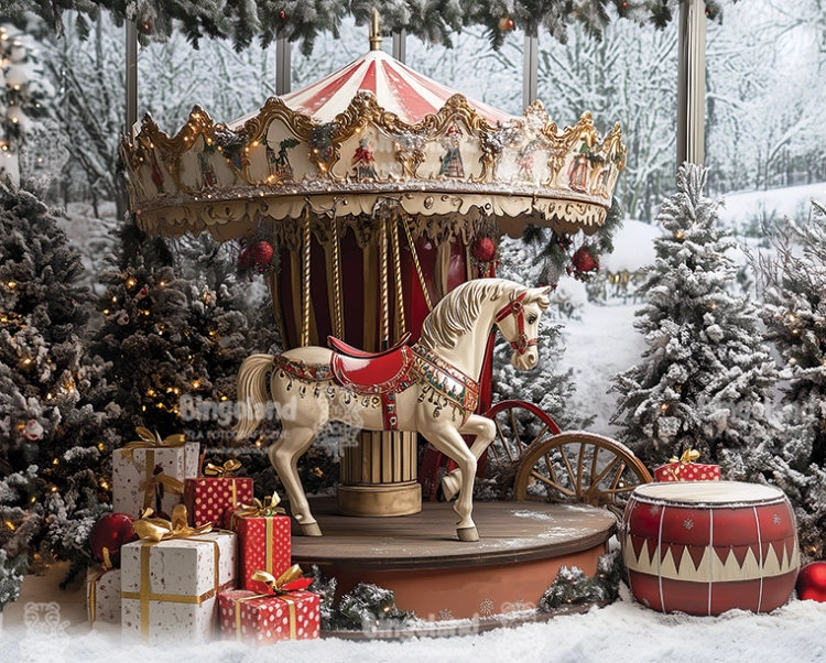 tlo-fotograficzne-kon-karuzela-249x200-Z671.webp