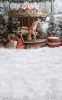 tlo-fotograficzne-kon-karuzela-249x400-Z671.webp