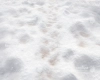tlo-snieg-podloga-Z687.webp