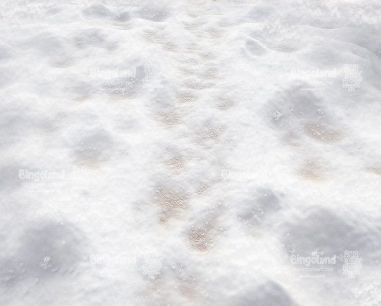 tlo-snieg-podloga-Z687.webp