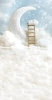 tlo-fotograficzne-roczek-chmury-ksiezyc-159x300-CL1547.webp