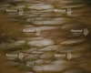 tlo-wielkanocne-podloga-249x200-CL1548.webp