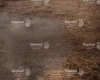 tlo-stodola-siano-249x200-CL1549.webp