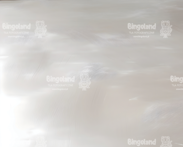 tlo-podloga-249x200-CL1555.webp