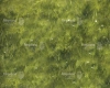 tlo-trawa-249x200-CL1585.webp