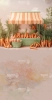 stoisko-marchewkowe-pastelowe-tlo-fotograficzne-149x300-CL1630.webp