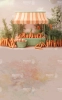 stoisko-marchewkowe-pastelowe-tlo-fotograficzne-CL1630.webp
