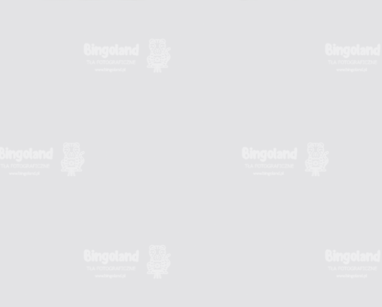 tlo-podloga-CL1644.webp