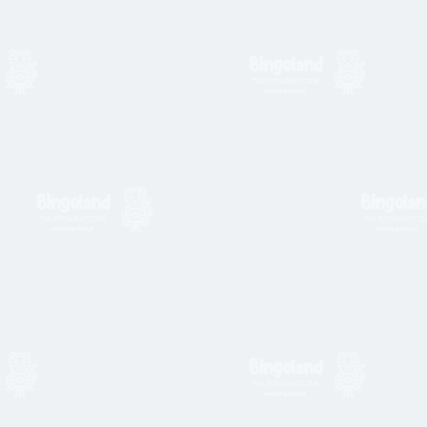 tlo-biala-podloga-.webp