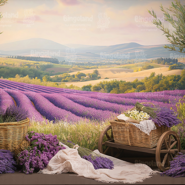 tlo_fotograficzne_lawenda_-200x200-CL1663.webp