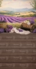 tlo_fotograficzne_lawenda_-200x400-CL1663.webp