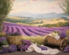 tlo_fotograficzne_lawenda_-250x200-CL1663.webp