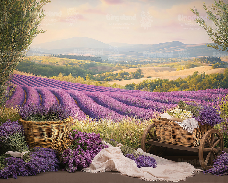 tlo_fotograficzne_lawenda_-250x200-CL1663.webp