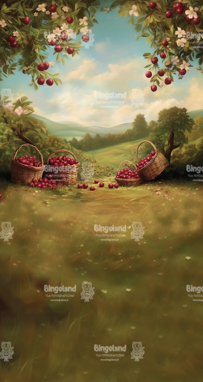 159x300-cl1672.webp