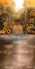 159x300.webp