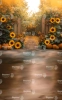 jesienne-tlo-fotograficzne-ze-slonecznikami-i-dyniami-CL1699.webp